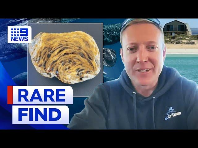 South Australian man finds rare treasure worth ‘as much as gold’ | 9 News Australia