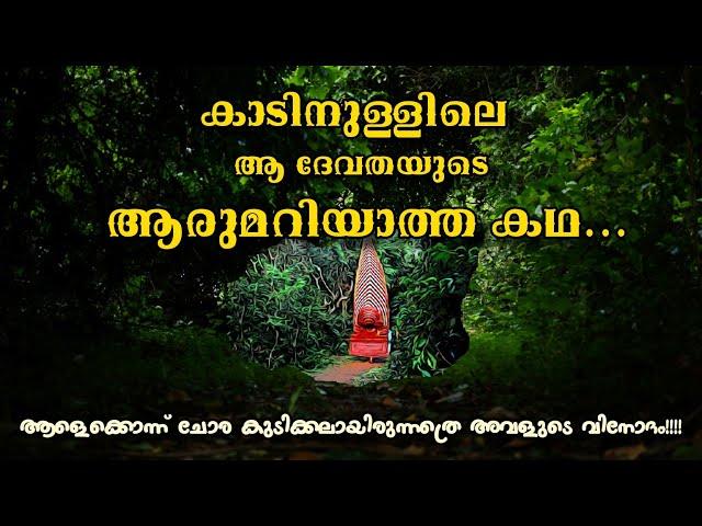 അധികമാരും കാണാത്ത കൊടുംകാട്ടിനുള്ളിലെ ആ ദേവതയെ തേടി️ || മാങ്ങാട് നീലിയാർ ഭഗവതി|Explore With Arju