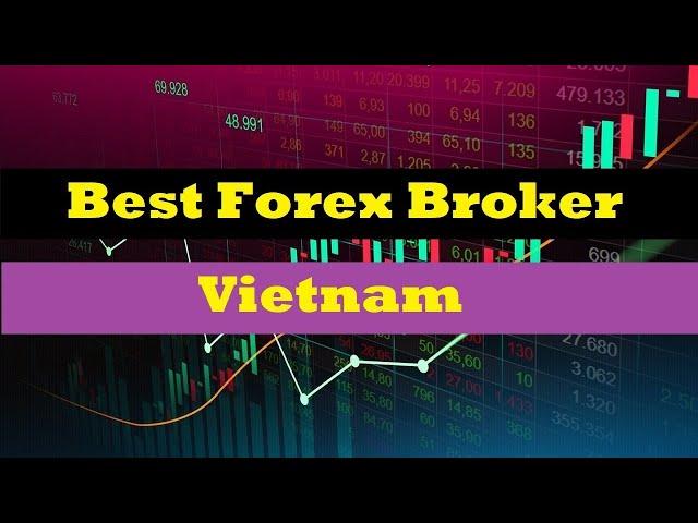 the best forex brokers in Vietnam| Forex Broker 2022 - 2023