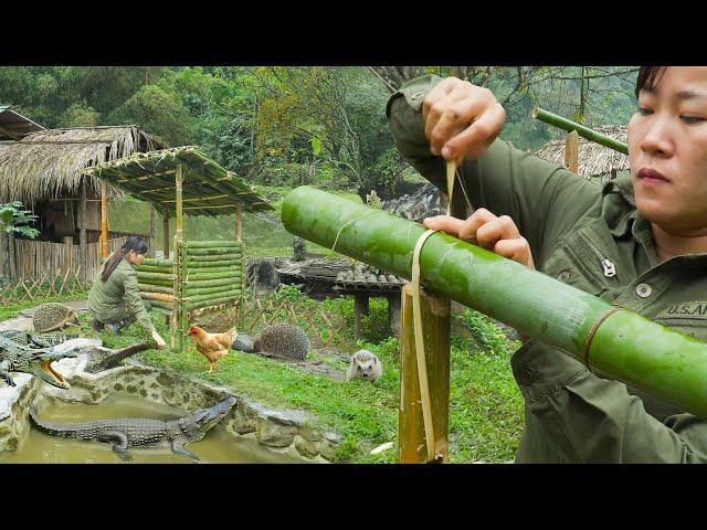 Build a Hedgehog cage, Taming Wild Hedgehogs New Plan - Living off Grid