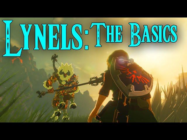 Lynel Basics, Attack Patterns, Strategies & More | BotW