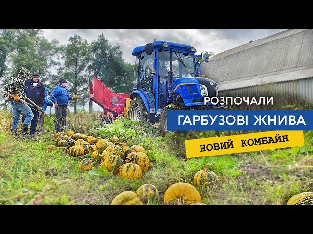 Молотимо голонасінний гарбуз. Новий гарбузовий комбайн Мороз, запустили сушку для насіння
