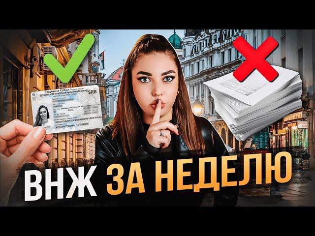 ВНЖ Сербии - КАК ПОЛУЧИТЬ? Пошаговая инструкция в 2024 году