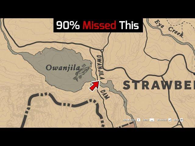 Every Player Came Here For The SECRET Treasure But Missed This - RDR2