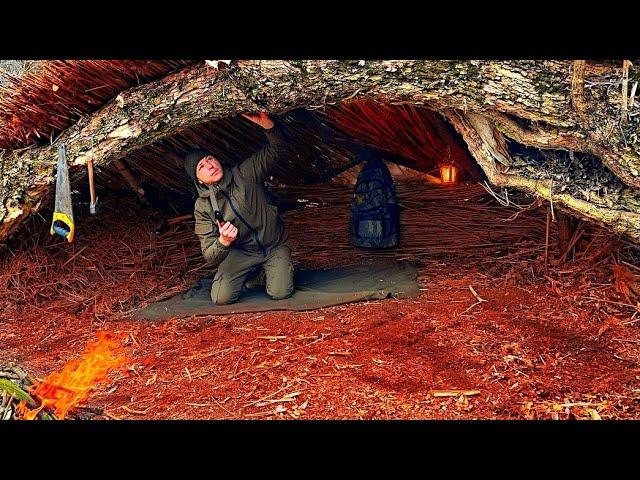 Building a Reed Shelter Waterproof | Bushcraft in the Secret Place | Start to Finish Construction