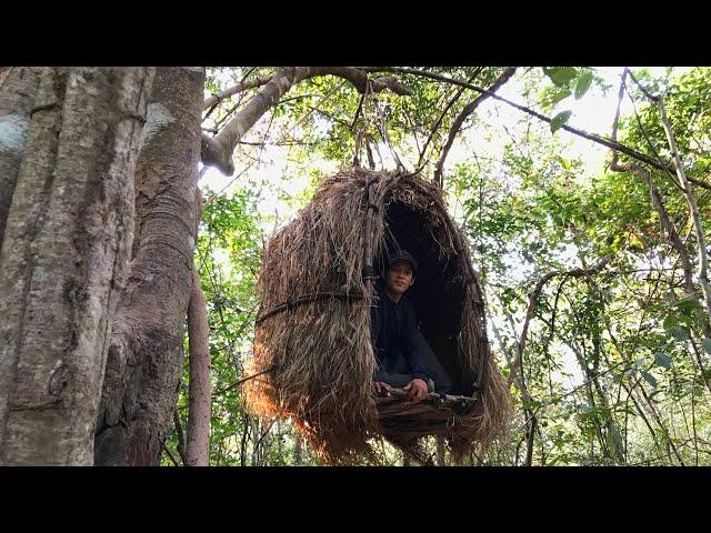 How I build a 5 meter bird nest shelter