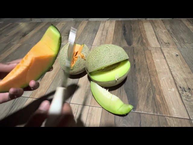 Review rock melon Vs melon biasa