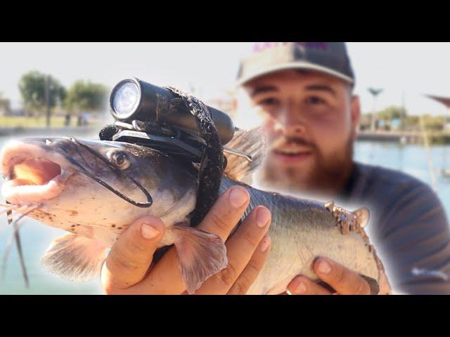 I Strapped a Camera on a Stocked Catfish! (Underwater Footage)