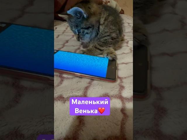МАЛЕНЬКИЙ ВЕНЬКА️