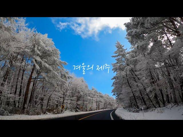 겨울 한라산을 사랑할 수 밖에 없는 이유.