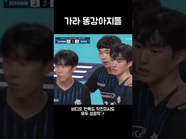 어떻게 막냉이들 컬러가 똥강아지 | 240925 코보컵 조별리그 A조 현대캐피탈 vs 대한항공