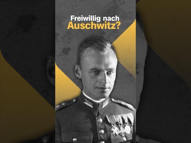 Witold Pilecki: Mutigster Mann des 20. Jahrhunderts?