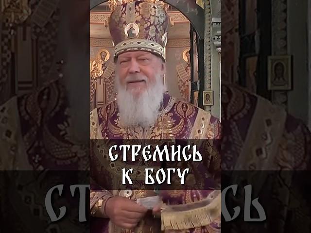 Стремись к Богу | еп. Августин (Анисимов)