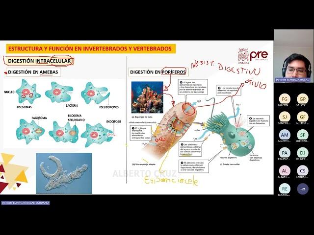 Biología - Semana 06 - Pre San Marcos Ciclo 2024-I (Nuevo Ciclo)