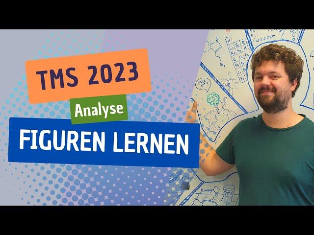 Figuren lernen - Analyse | TMS 2023 | [TMS Buddies]