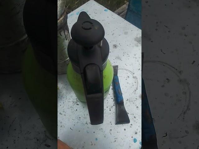 Пасека подсадка пчеломатки