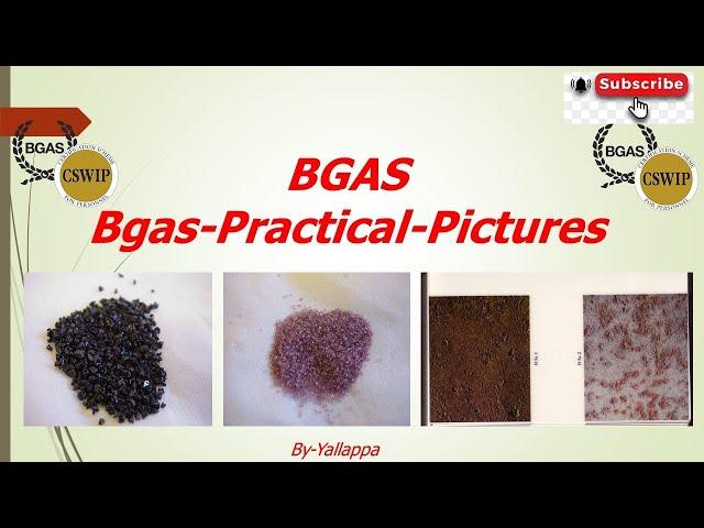 Bgas practical Exam for painting inspector