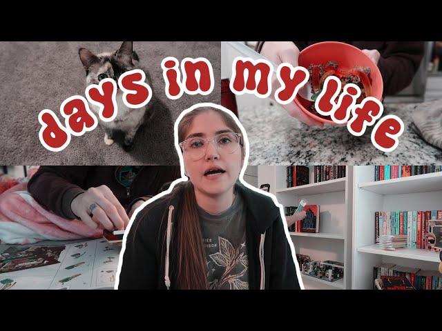 DAYS IN MY LIFE  finishing the preorder, building legos, making treats, + MORE!