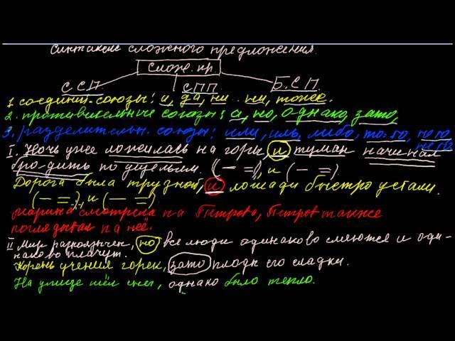 Синтаксис сложного предложения