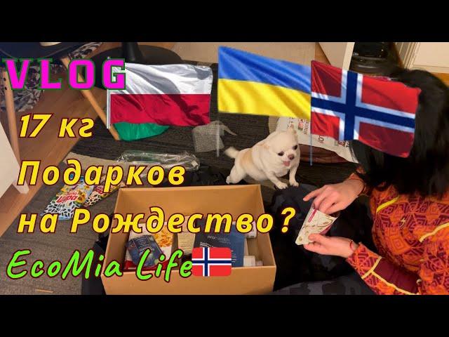 Vlog  ОГРОМНАЯ ПОСЫЛКА .17 кг ПОДАРКОВ!/Nº15 - 12.2024/EcoMia Life