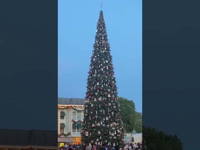 Tree Lighting @ Disneyland