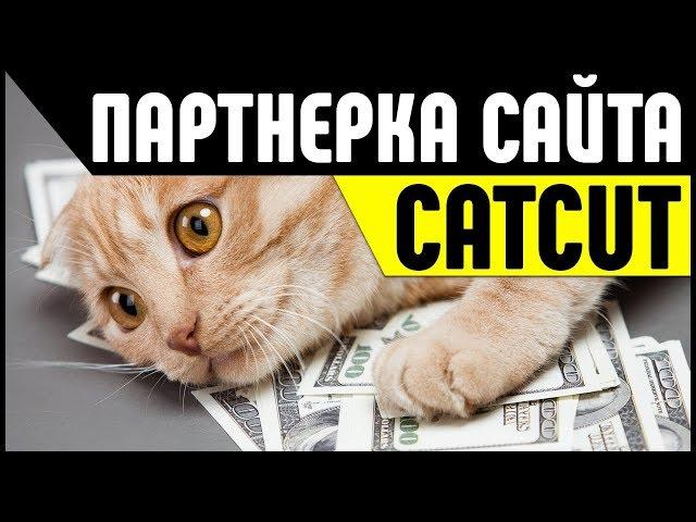 Партнерка CatCut. Заработок на ссылках, сайтах и партнерских программах в Интернете