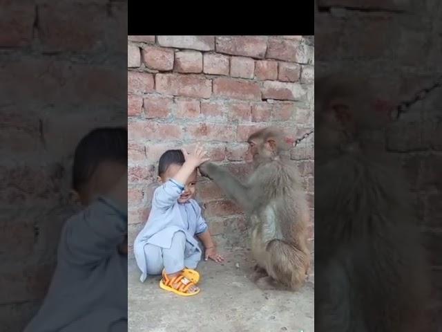 monkey and baby enjoyment #shortsvideo #viral #cutebaby #funnyvideo