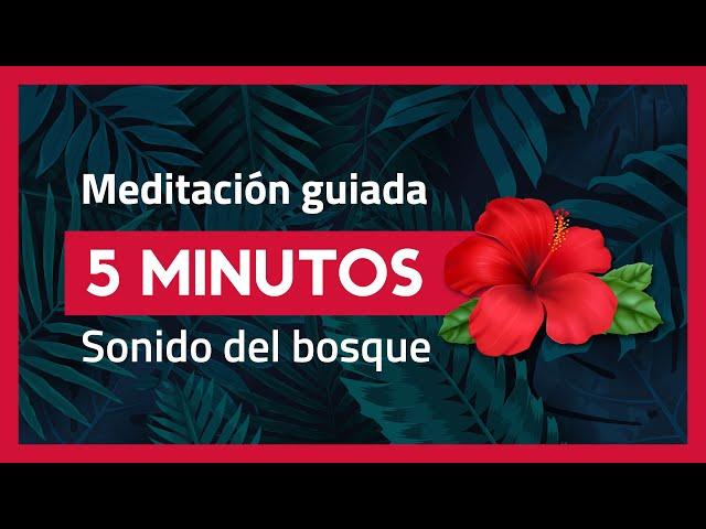 MINDFULNESS MEDITACIÓN GUIADA 5 minutos principiantes | Relajación total