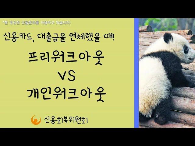 [판다 심사역] 프리워크아웃vs개인워크아웃