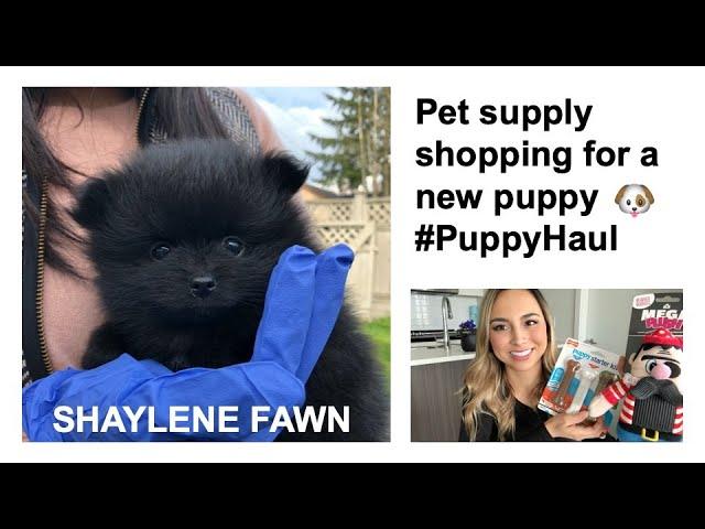 Pet supply shopping for a new puppy #PuppyHaul