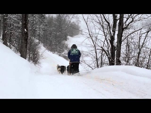 Steve Crone 2013 Can-Am Crown 250 International Sled Dog Race