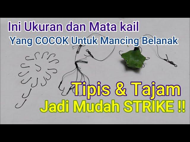 Ukuran Dan Mata Kail Yang Pas Untuk Mancing Belanak