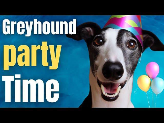 Greyhound BBQ and Boops