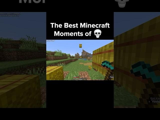 The Most Funniest Minecraft Clips of 2023