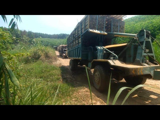 Homemade wooden trucks in Vietnam are very cool and strong - wood truck