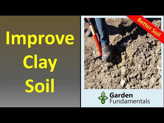 Improve Heavy Clay Soil