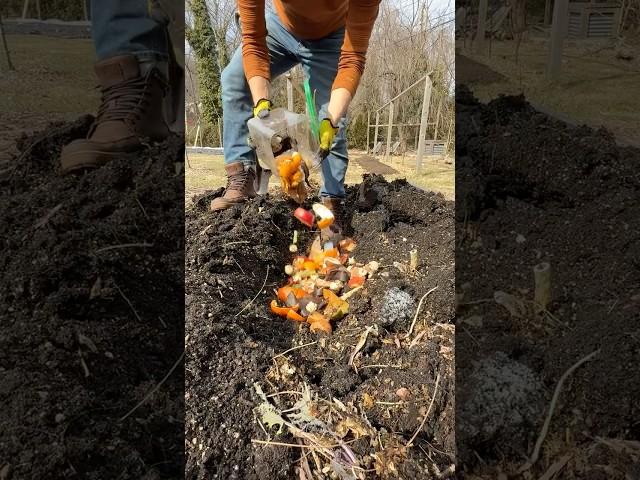 5 Ways To Compost Your Food Scraps