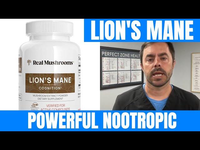  Organic Lion's Mane Review by Real Mushrooms - Nootropic & Anti-Inflammatory Benefits Supplement