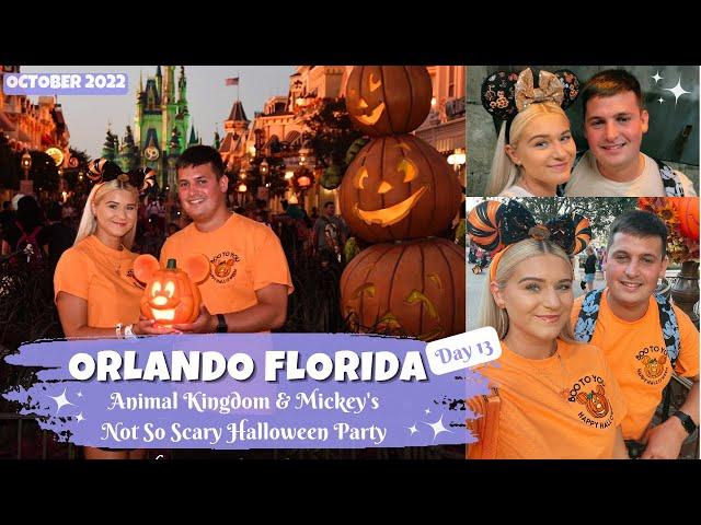 ORLANDO FLORIDA  DISNEY WORLD VLOG  Day 13 • Animal Kingdom & MNSSHP - October 2022