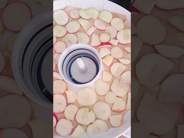летние радости
