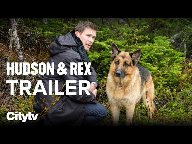 WATCH Hudson & Rex Sundays on Citytv | Best TV Shows 2022