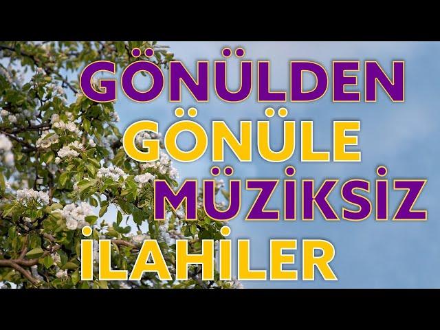 Gönül Makamından İlahiler / Müziksiz Sade Çalgısız ilahiler / Osman Gündüz 2022 Yeni İlahiler