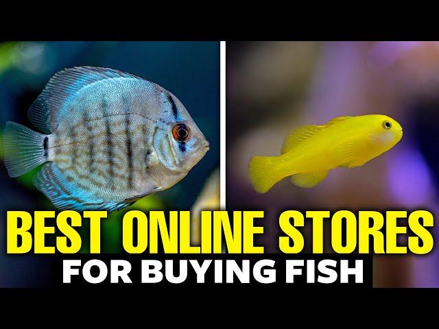 Here's The Best Place To Buy Fish Online