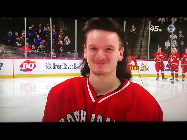 2019 Minnesota State High School All Hockey Hair Team