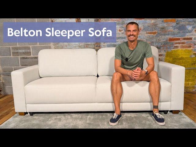 Belton Sleeper Sofa by Luonto