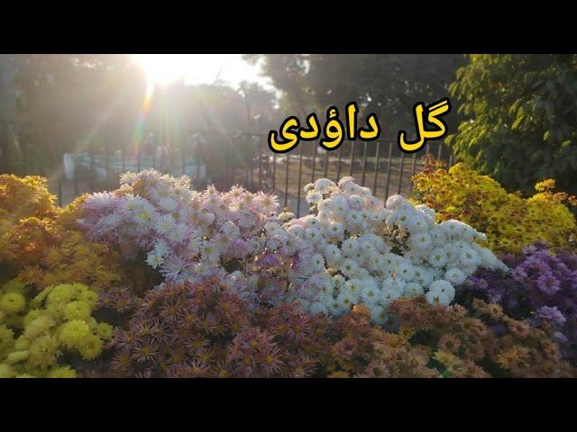 JILANI PARK LAHORE FESTIVAL 2024 | RACE COURSE PARK | RACE COURSE PARK FESTIVAL | parks in lahore