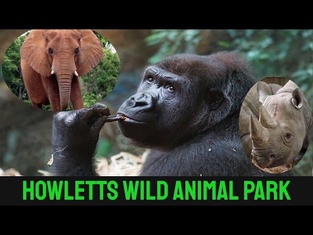 HOWLETTS WILD ANIMAL PARK | THE ASPINALL FOUNDATION | 2022