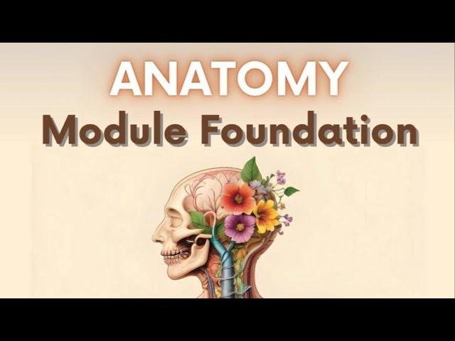 Anatomy ( Foundation ) Lec. 1 - Dr. Mahmoud Alaa