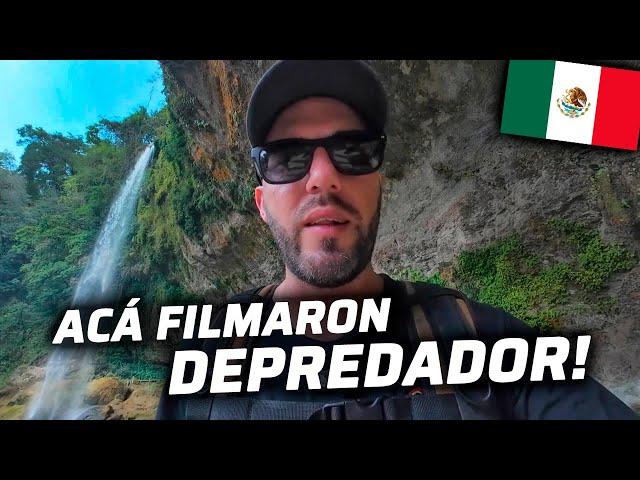 EN ESTA SELVA DE MEXICO SE FILMÓ LA PELICULA DEPREDADOR | PALENQUE