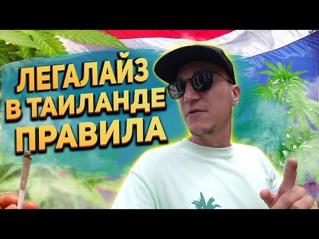 ЛЕГАЛАЙЗ в Таиланде! Правила и обзор магазина с ТРАВКОЙ.